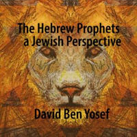 The Hebrew Prophets : A Jewish Perspective - David Ben Yosef