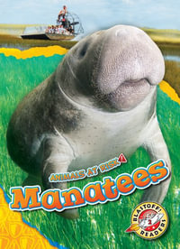 Manatees : Animals at Risk - Rachel Grack