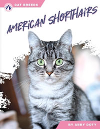 Cat Breeds : American Shorthairs - ABBY DOTY