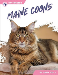 Cat Breeds : Maine Coons - ABBY DOTY