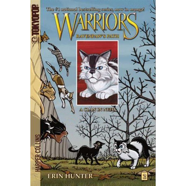 WARRIOR CATS 8. Stelladifuoco e il clan perduto (Italian Edition) eBook :  Hunter, Erin: : Livros