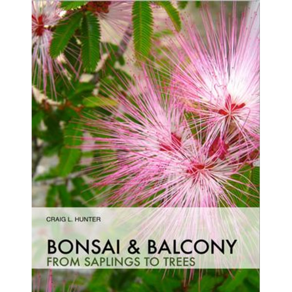 Bonsai And Balcony From Saplings To Trees Ebook By Craig Hunter Booktopia