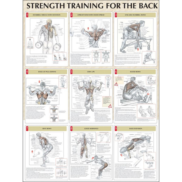 Strength Training for the Back by Frederic Delavier | 9780736059329 ...