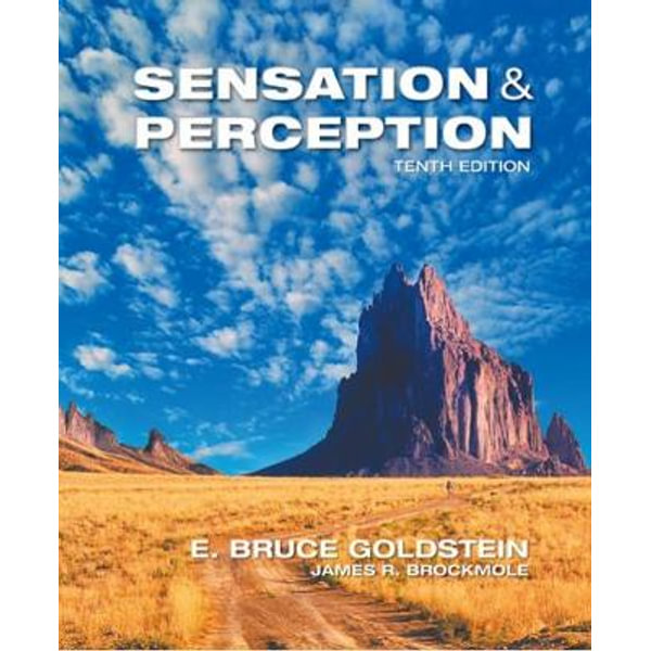 Sensation And Perception 10th Edition E Bruce Goldstein 9781305580299 Booktopia