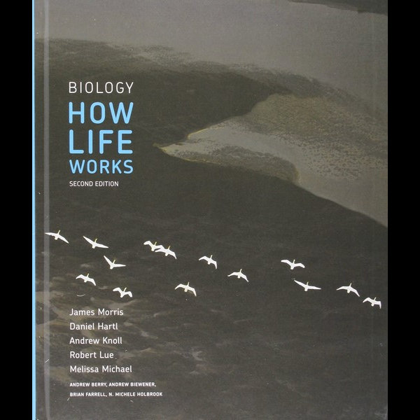 Biology How Life Works 2e Launchpad For Biology How Life Works Twenty Four Month Access Professor James Morris 9781319067793 Booktopia