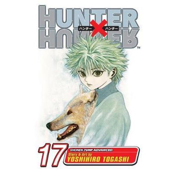 Hunter x Hunter, Vol. 33 (33): Togashi, Yoshihiro: 9781421592640:  : Books