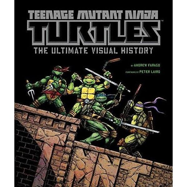 Analyzing EVERY Ninja Turtle From TMNT (2012) 🐢, Character Study
