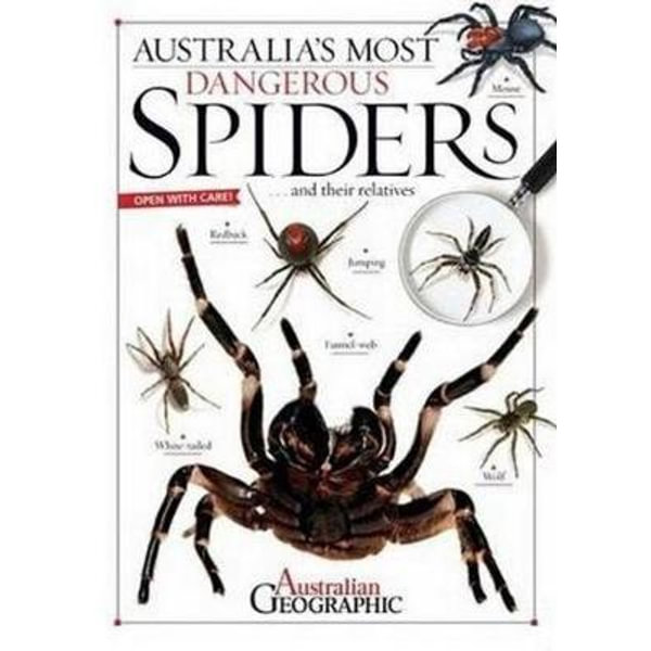 Why spiders don't stick to their webs - Australian Geographic