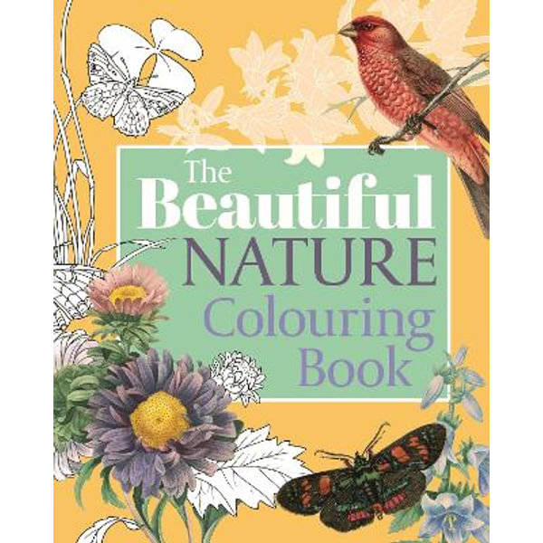 Download The Beautiful Nature Colouring Book Adult Colouring Book By Arcturus Publishing 9781838575076 Booktopia