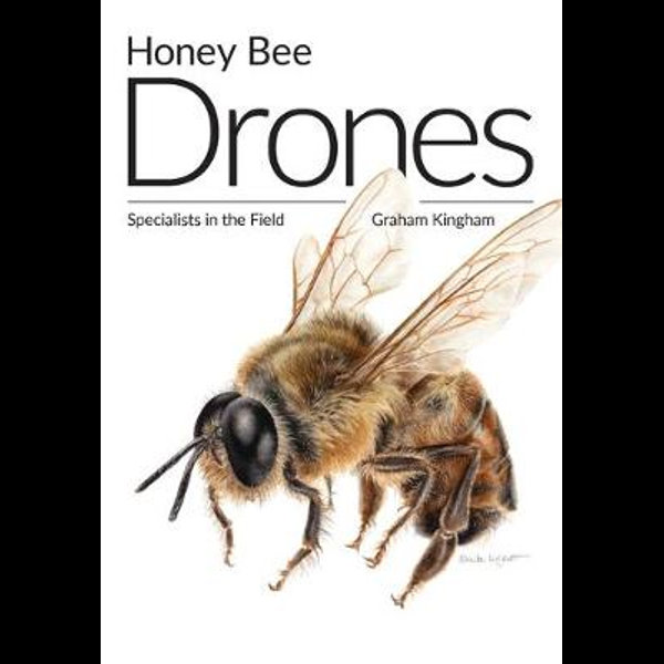 Honey Bee Drones: Specialists in the Field: Kingham, Graham, Paterson,  Simon: 9781912271528: : Books