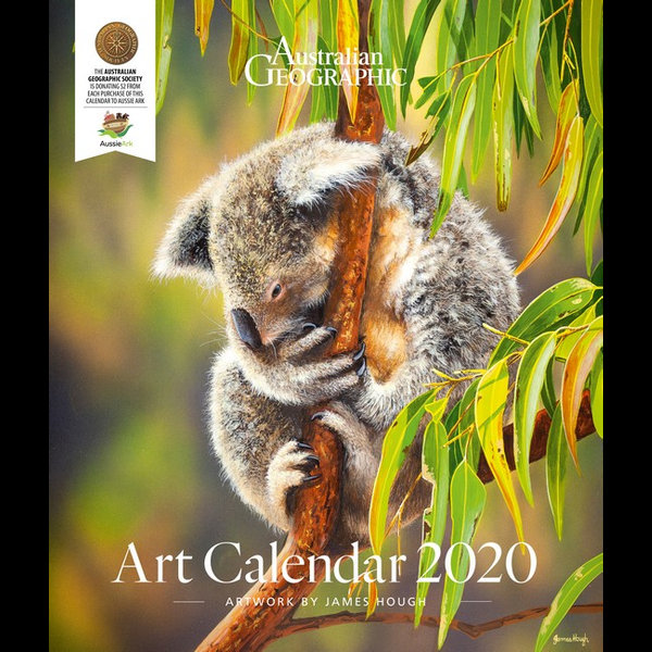 Australian Geographic Art Calendar 2020 2020 Wall Calendar Artwork By James Hough By Australian Geographic 9781925847512 Booktopia