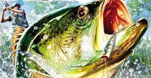 Great Ideas on Fishing for Bass - Desmond Gahan