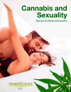 Cannabis and Sexuality : Discover its Effects and Benefits. - Pharmacology University