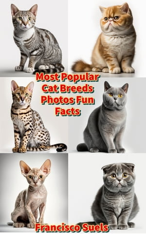 Most best sale popular cats