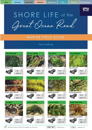 Shore Life of the Great Ocean Road - Marine Field Guide - Timothy Godfrey