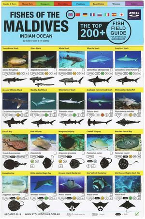 Maldives Fish Field Guide "Top 200+" - Timothy Godfrey