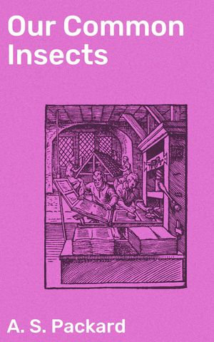 Our Common Insects : A Popular Account of the Insects of Our Fields, Forests, Gardens and Houses - A. S. Packard