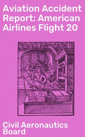 Aviation Accident Report: American Airlines Flight 20 : Understanding the Investigation Process of Airline Disasters - Civil Aeronautics Board