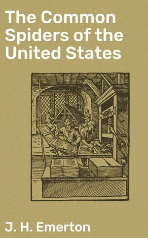 The Common Spiders of the United States : Exploring the Fascinating World of US Arachnids - J. H. Emerton