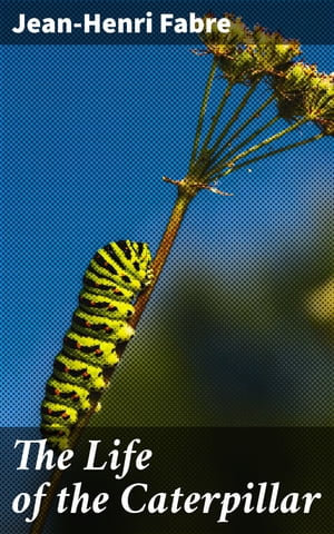 The Life of the Caterpillar : The Tranquil Metamorphosis of Nature's Tiny Marvels - Jean-Henri Fabre