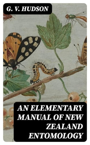 An Elementary Manual of New Zealand Entomology : Being an Introduction to the Study of Our Native Insects - G. V. Hudson