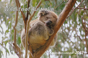 Wildlife of Australia - 2022 Easel Desk Calendar - John Xiong