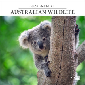 Australian Wildlife - 2023 Mini Wall Calendar : 2023 Wall Calendars - Browntrout Australia