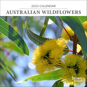 Australian Wildflowers - 2023 Mini Wall Calendar : 2023 Wall Calendars - Browntrout Australia