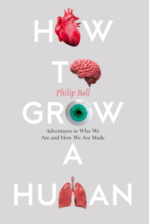 How to Grow a Human : Adventures in Who We Are and How We Are Made - Philip Ball