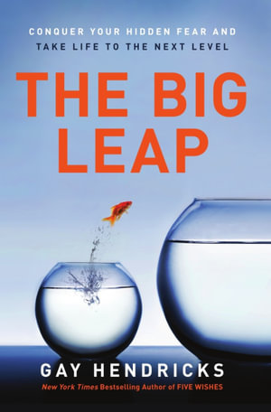 The Big Leap : Conquer Your Hidden Fear and Take Life to the Next Level - Gay Hendricks