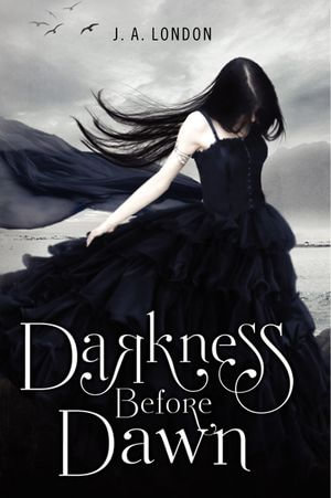 Darkness Before Dawn : Darkness Before Dawn : Book 1 - J. A. London