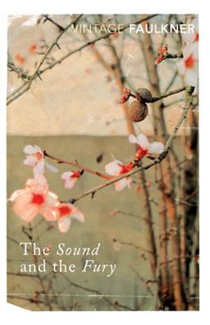 The Sound And The Fury  : Vintage Classics - William Faulkner