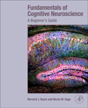 Fundamentals of Cognitive Neuroscience : A Beginner's Guide - Bernard Baars