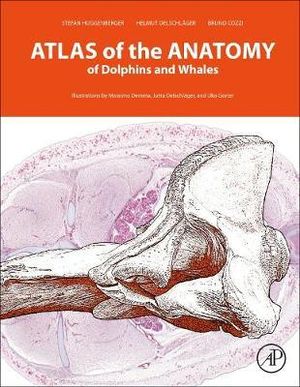 An Interactive Atlas of the Anatomy of Dolphins - Cozzi