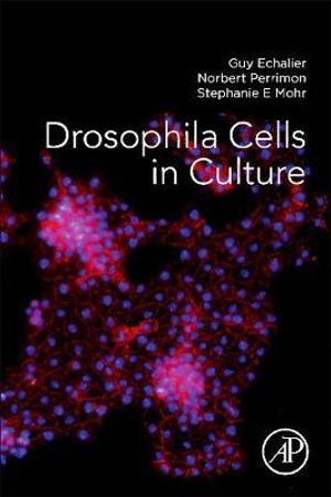 Drosophila Cells in Culture 2E - Echalier