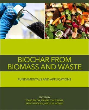 Biochar from Biomass : Fundamentals - OK