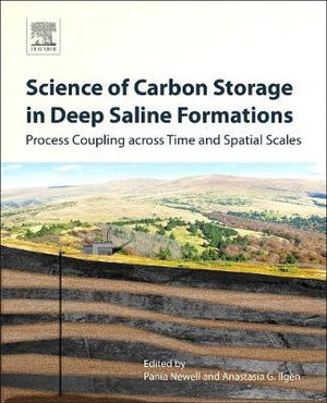 Science of Carbon Storage in Deep Saline Formations : Process Coupling Across Time and Spatial Scales - Ilgen