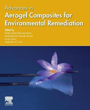 Advances in Aerogel Composites for Environmental Remediation - Ansari