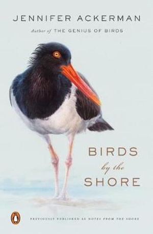 Birds by the Shore : Observing the Natural Life of the Atlantic Coast - Jennifer Ackerman