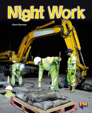 Night Work - Diana Noonan