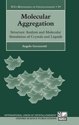 Molecular Aggregation : Structure analysis and molecular simulation of crystals and liquids - Angelo Gavezzotti