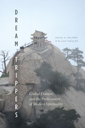 Dream Trippers : Global Daoism and the Predicament of Modern Spirituality - David A. Palmer