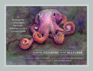 From the Seashore to the Seafloor : An Illustrated Tour of Sandy Beaches, Kelp Forests, Coral Reefs, and Life in the Ocean's Depths - Janet Voight