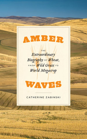 Amber Waves : The Extraordinary Biography of Wheat, from Wild Grass to World Megacrop - Catherine Zabinski