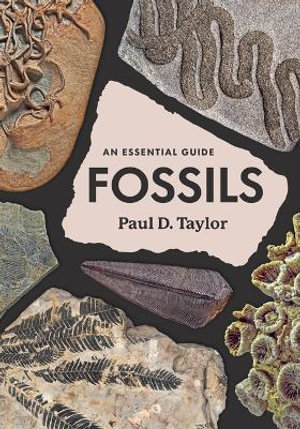 Fossils : An Essential Guide - Paul D. Taylor