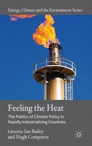 Feeling the Heat : The Politics of Climate Policy in Rapidly Industrializing Countries - Ian Bailey