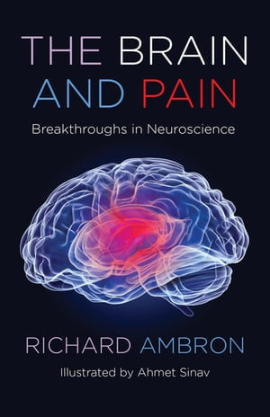 The Brain and Pain : Breakthroughs in Neuroscience - Richard Ambron