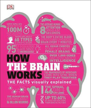 How the Brain Works : The Facts Visually Explained - DK