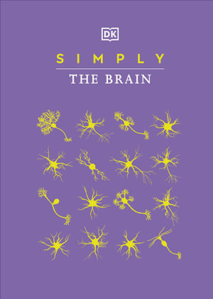 Simply The Brain - DK