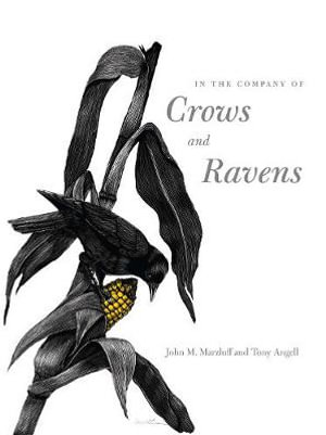 In the Company of Crows and Ravens - John M. Marzluff